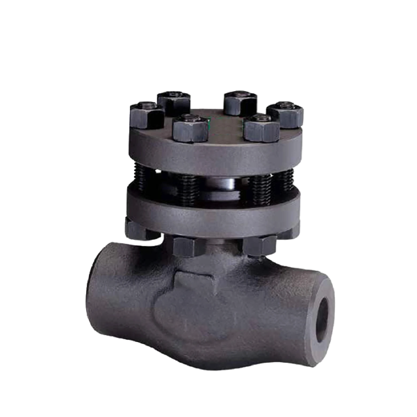 check_valve_007